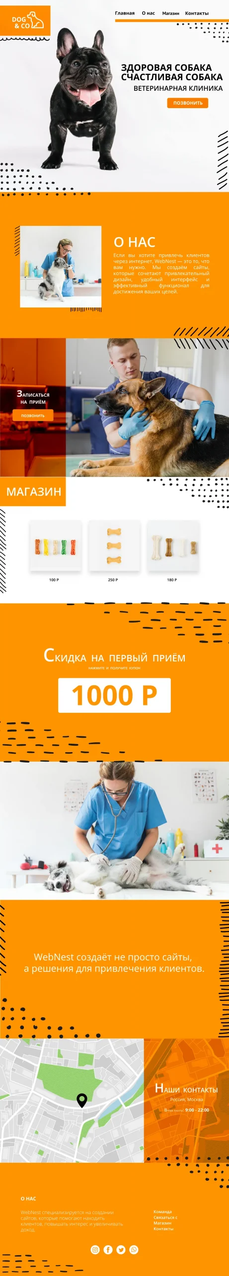 Создание сайта ветеринарная клиника